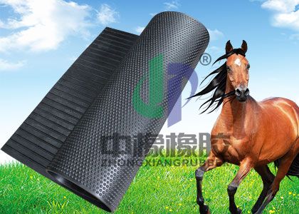 Rubber Stall Mats: The Durable and Hygienic Flooring Solution for Equine Environments